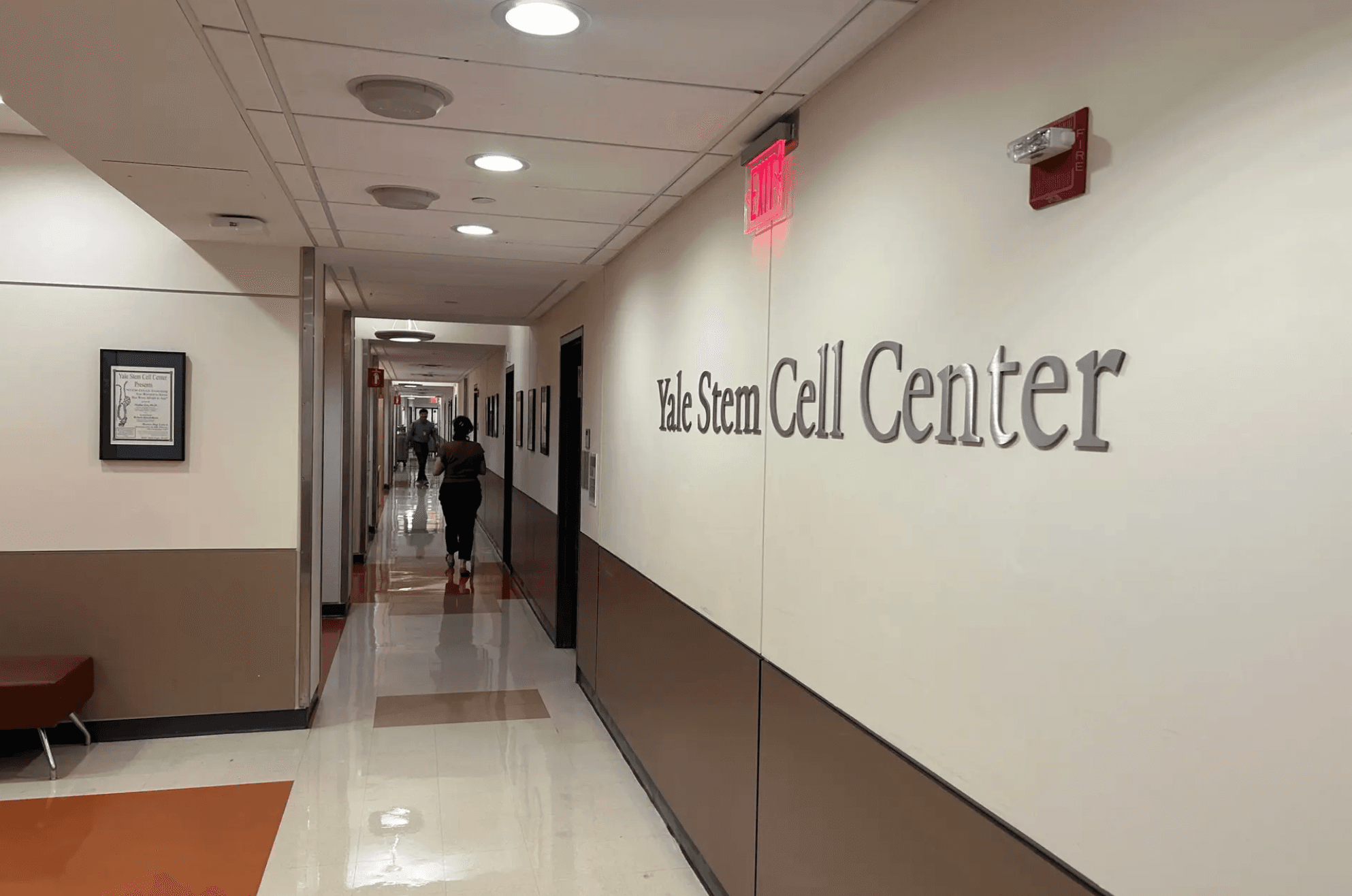 Yale Stem Cell Center regenerative medicine