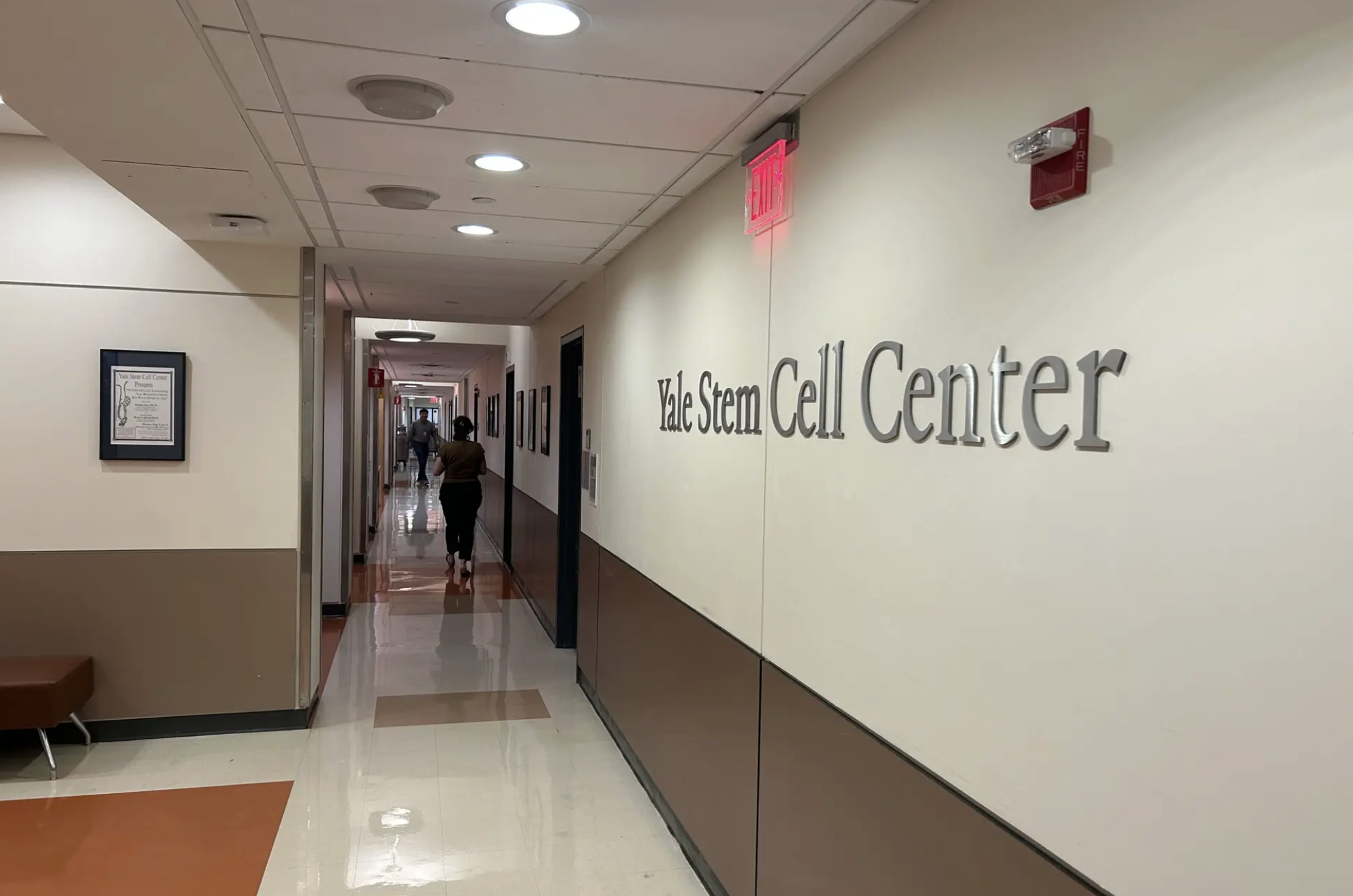 Yale Stem Cell Center regenerative medicine